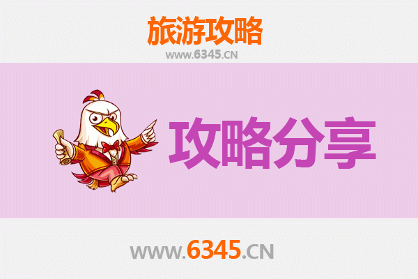 朔州应县旅游攻略：跟团与自由行深度对比